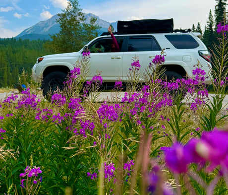 Adventure Awaits with Toyota: Canadian Rockies Adventure Mom POV with a Toyota 4Runner