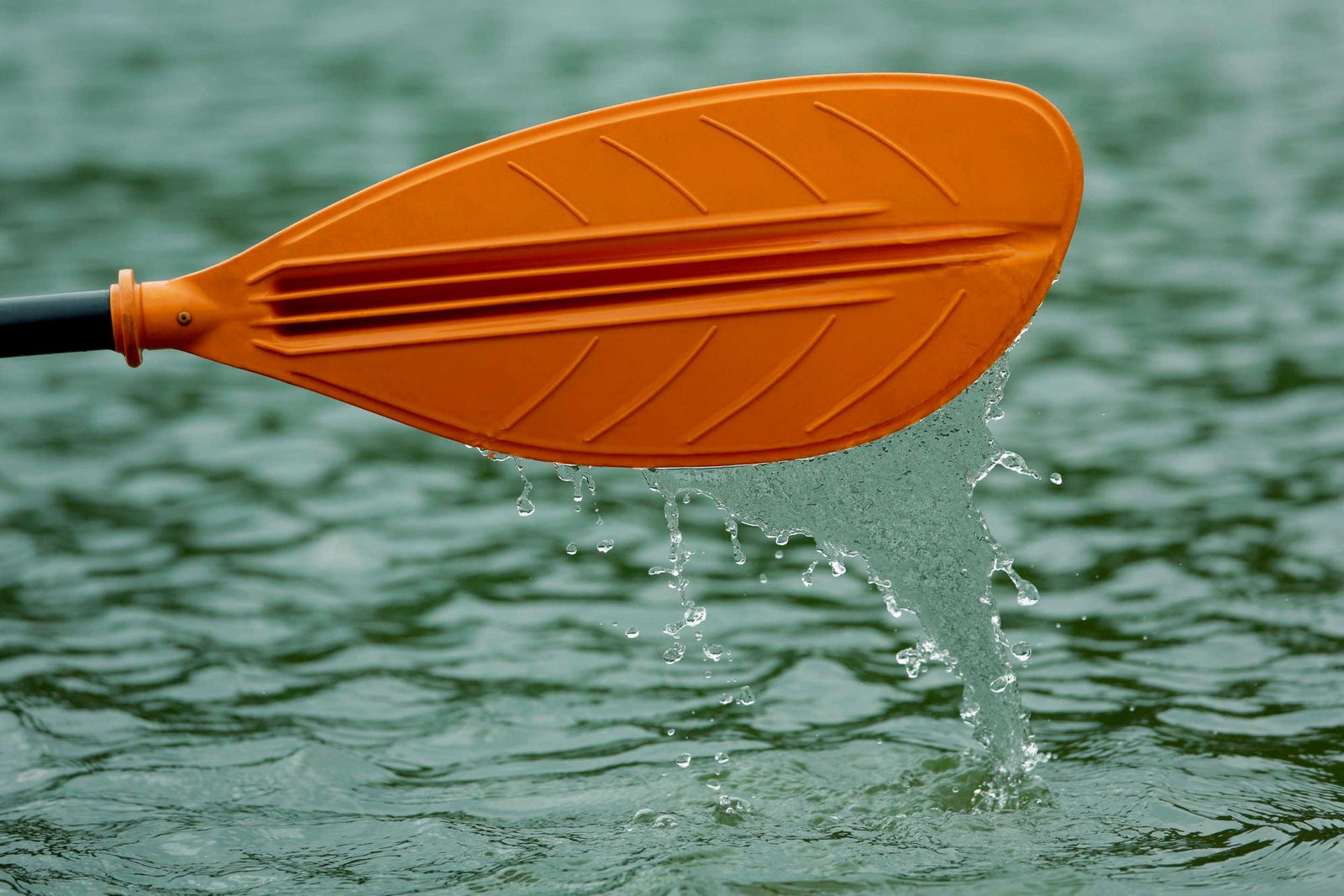 Exciting Family-Friendly Paddling Locations in Texas