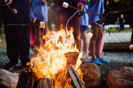 Top 5 Campgrounds near Kamloops, BC
