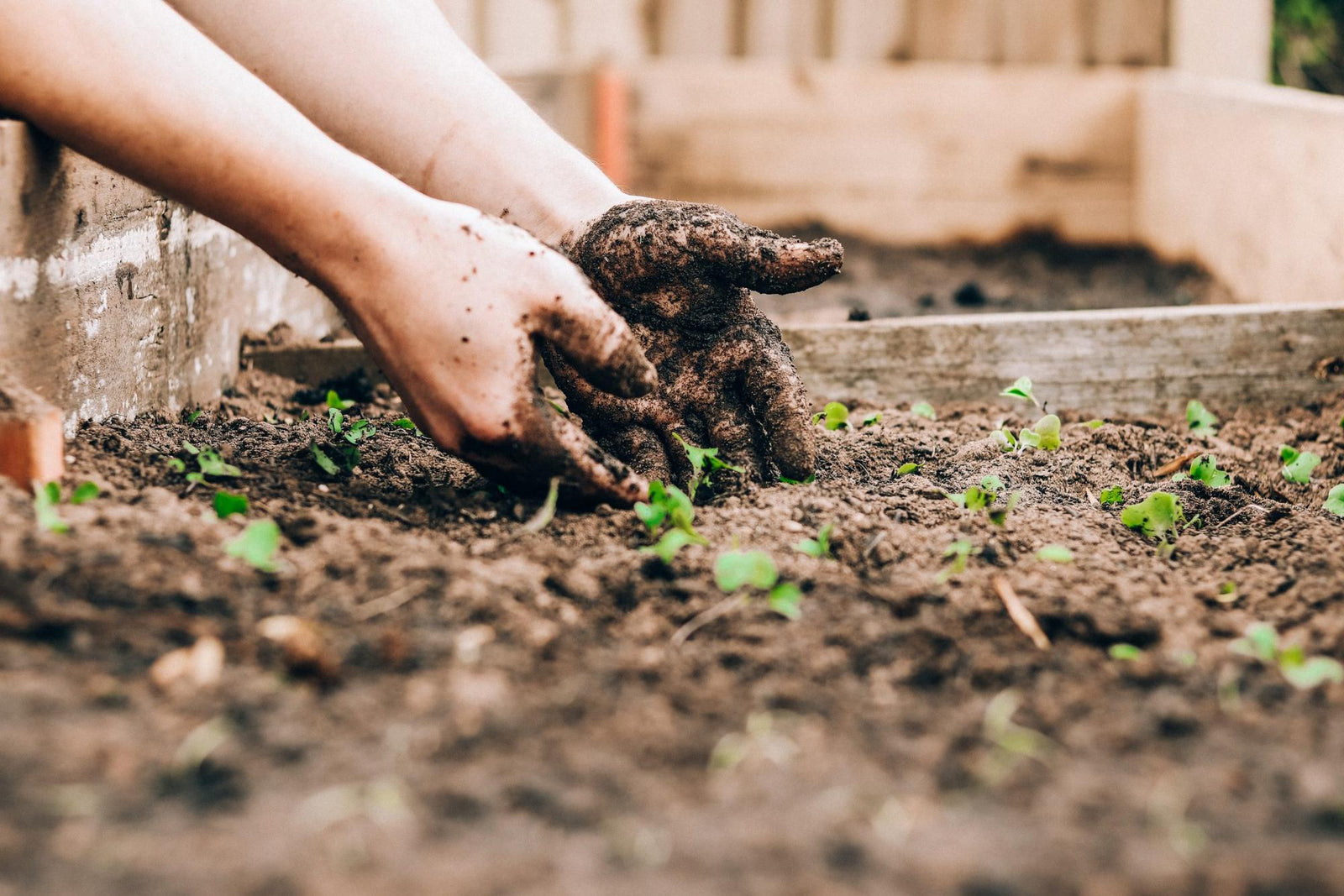 Tips on Gardening with Little Kids