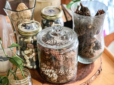 Bringing The Outdoors In